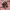 Y2K Grunge Shirt Wanita pink photo 5