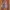 Enginereed garment flannel shirt photo 1