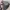 RARE ITEM! FRIZMWORKS Slingbag Nylon photo 2