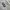 GAP HODDIE WHITE BORDIR  photo 4