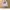 GAP HODDIE WHITE BORDIR  photo 8