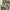 TACTICAL MILITARY JAKET photo 7