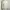 Daily Yana Made in Korea Cream Floral Long Sleeve Midi Dress photo 4