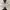 Kenzo Streetwear Y2K Loafer Wanita gray photo 8