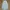 CARGO PARACHUTE PANTS photo 5