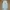 CARGO PARACHUTE PANTS photo 7