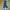 CARGO PARACHUTE PANTS photo 5