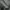 Echo Genuine Leather  Detroit Jacket Outer Kulit photo 5