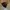 Beanie hat Adult by Eider photo 1