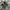 SALOMON GORTEX XT6 Trail photo 5