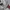 NIKE BASKETBALL HARVARD JERSEY 2000’s photo 3