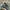 SALOMON GORTEX XT6 Trail photo 1