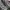 SALOMON GORTEX XT6 Trail photo 5