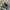 SALOMON GORTEX XT6 Trail photo 2