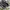 SALOMON GORTEX XT6 Trail photo 6