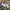 SALOMON GORTEX XT6 Trail photo 1
