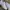 SALOMON GORTEX XT6 Trail photo 3
