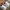 SALOMON GORTEX XT6 Trail photo 4