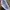 SALOMON GORTEX XT6 Trail photo 6