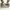 JOYA Minimalist Casual Handbag Wanita white cream photo 3