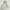 JOYA Minimalist Casual Handbag Wanita white cream photo 2