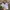 SALOMON GORTEX XT6 Trail photo 4