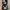 Stagg Ear Monitor dan Receiver DIY Built in battery photo 3