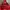 Rok overall anak perempuan 1-3 tahun kecil photo 1