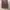 Fendissime by Fendi Midi Dress photo 7