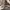 ATIENNE AIGNER VINTAGE BOMBER LEATHER JACKET photo 7