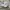 ASICS NOVABLAST photo 1