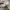 ASICS NOVABLAST photo 4