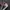 Converse Emo Casual Sneakers Pria multicolor photo 4