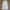 CARGO PARACHUTE PANTS photo 6