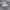 Hoodie Andersson Bell Unusual photo 7