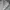 Jaket Winter Musim Dingin Wanita Tebal Puffer Gelembung photo 4