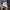 Nike jordan 11 Retro Low Concord (gs) photo 5