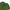 Nike Streetwear Sportswear T-shirt Pria Green
