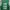 Jersey basket NBA BOSTON ( M ) photo 4