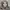 Massimo Dutti Vintage Pattern Midi Dress photo 2