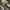 VANS Emo Casual Sneakers Pria white yellow photo 3