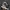 VANS Gorpcore Emo Sneakers Pria white black photo 1
