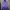 Tracktop Adidas Firebird Purple photo 1
