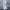 Oakley Vintage Sportswear Tracksuit Pria white photo 2