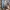 cotton poly blue washed cargo jeans photo 4