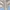 ZARA Gorpcore Sportswear Windbreaker Wanita White Gray Blue