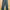 Jeans Anak OshKosh B'gosh