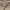Edwin 505 Khaki Cargo Military Pants 