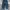 Carvil Bagy Pants Black Washed  photo 3