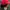 Another Shop Streetwear Skater Hat Pria Red